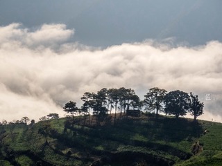 澜沧江云河09