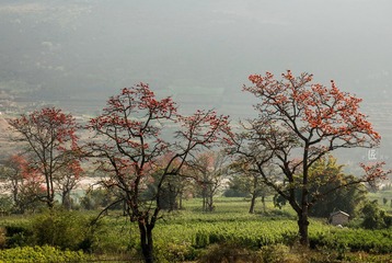 美丽的潞江坝10