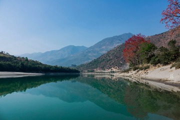 青山绿水木棉红08