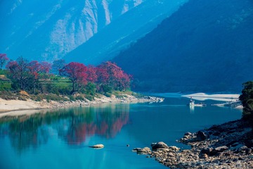 青山绿水木棉红05