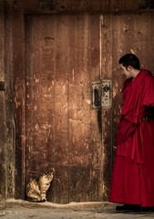 西藏组图-喇嘛与小猫