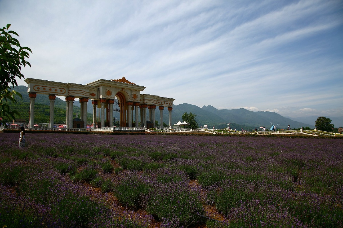 曲江薰衣草庄园