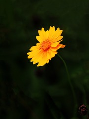 1471852
