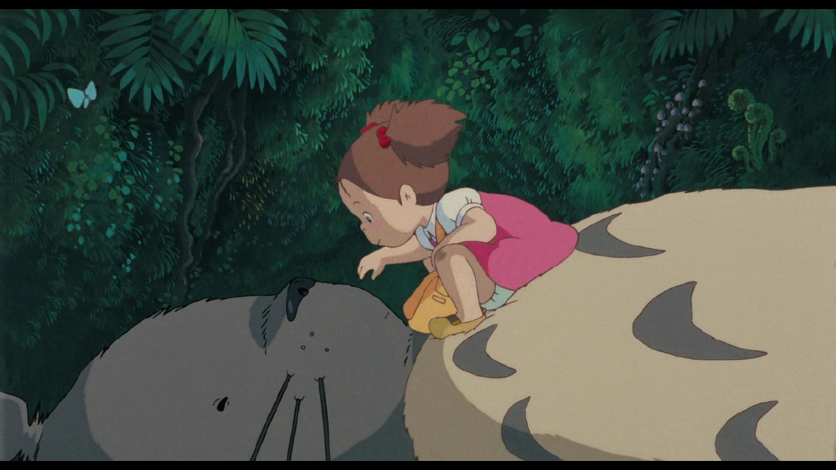 大龙猫真的很温柔很可爱