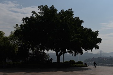 ZHU_6297_1