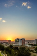 IMG_0808-1