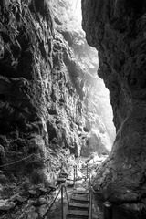 IMG_8633-1