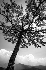 IMG_8081-1