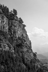 IMG_8083-1