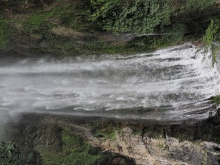 P8101181