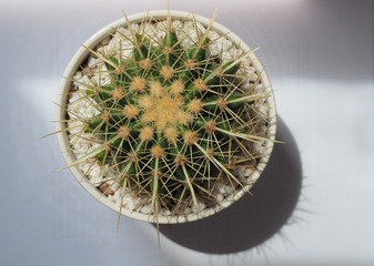 P9010205