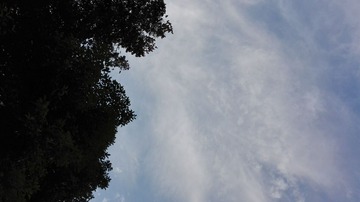 595767