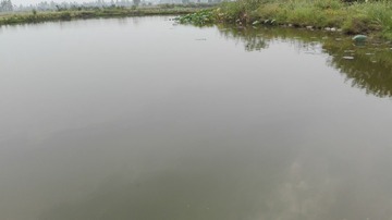 595763