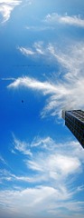Untitled_Panorama1