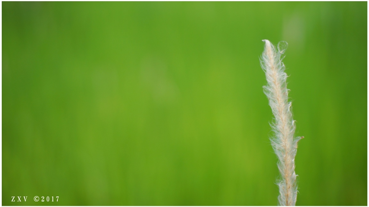 当然选择原谅啦!