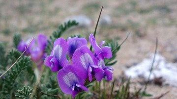 2016-05-07-5427