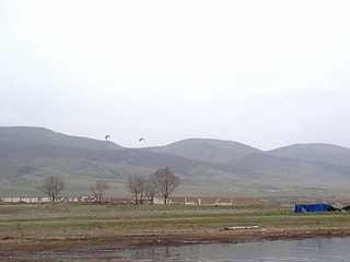 2016-05-08-5461