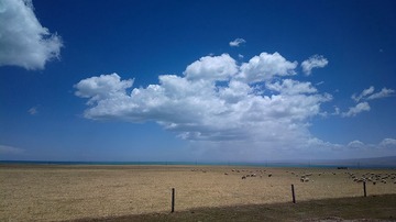 2016-05-09-5487