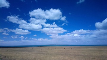 2016-05-09-5489