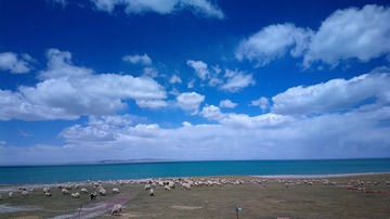 2016-05-09-5493