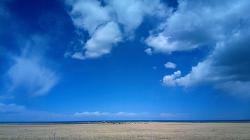 2016-05-09-5502