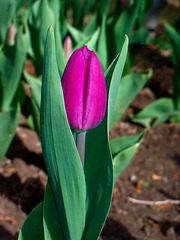 2016-04-20-4560