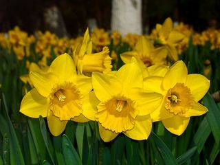 2016-04-20-4568