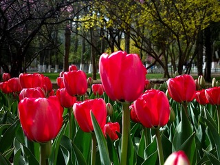 2016-04-20-4582