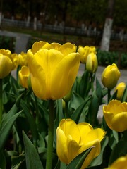 2016-04-20-4606