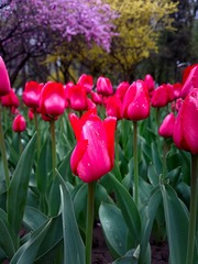 2016-04-22-4628