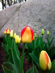 2016-04-25-4734