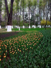 2016-04-25-4764