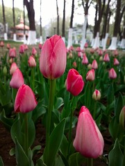 2016-04-25-4770