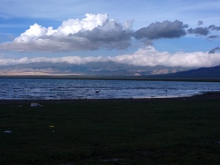 2016-08-23-6783