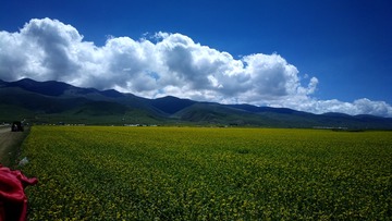 2016-07-19-6370