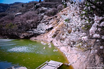 春暖花开