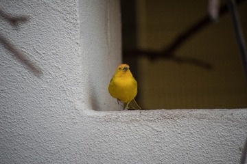 MD__2907