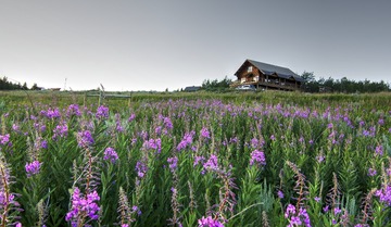 MIN3274_79_focus_tonemapped
