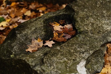 MD__3953_1