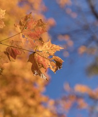MD__3996_1
