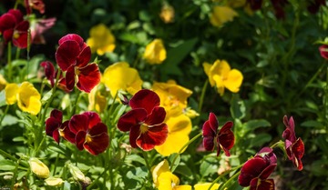 201505161-20150516-IMGP6928