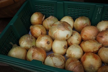 DSC04156_