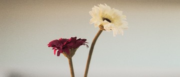 P1100443-17