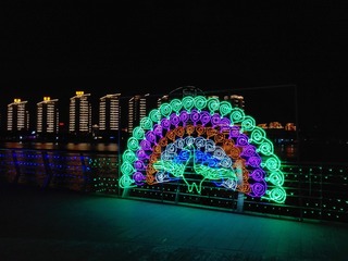 120316