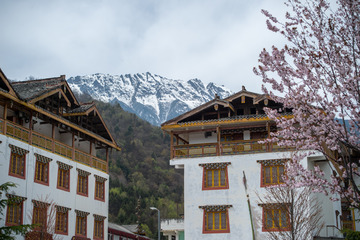 LIU_2642