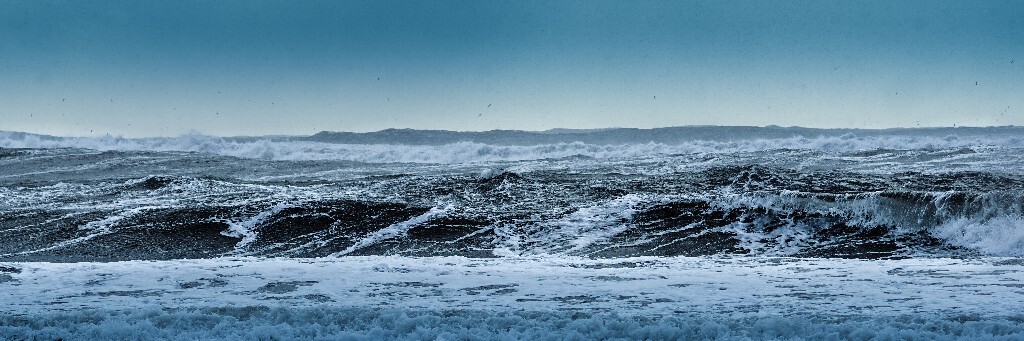 冰岛 · 鸟与山海的三种距离 （2 / 3）