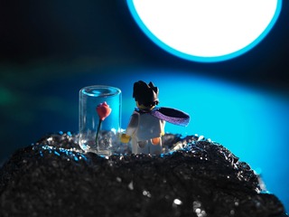LEGO-LittlePrince-20151025_0227