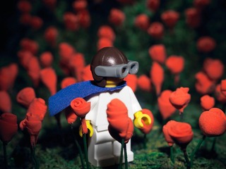 LEGO-LittlePrince-20151025_0240