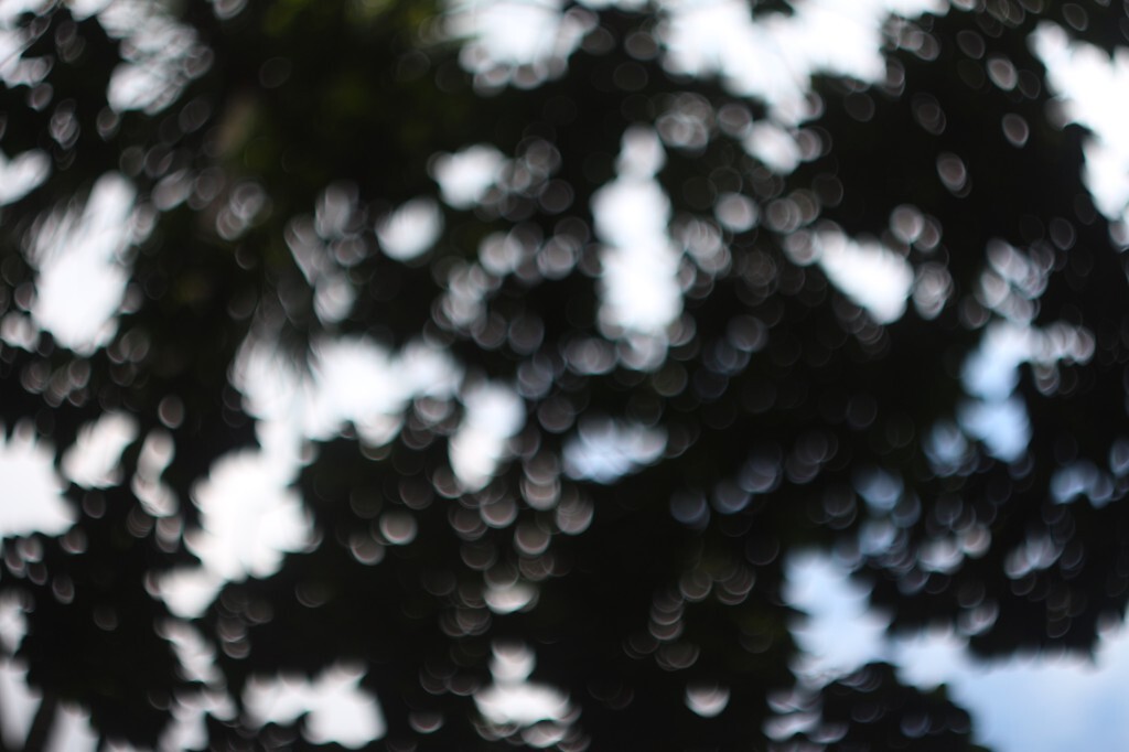 Helios-44M-4