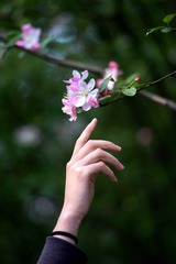 IMGP1094_1